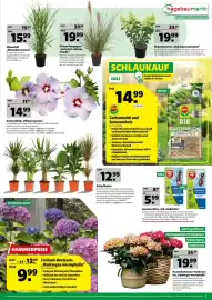 Hagebau Prospekt woche 29 Seite 7