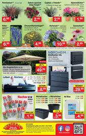 Zimmermann Prospekt woche 30 Seite 10