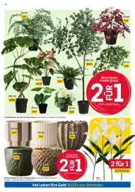 Rusta Prospekt woche 29 Seite 12