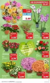 Kaufland Prospekt woche 30 Seite 7