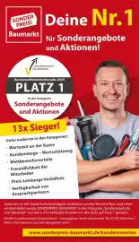 Sonderpreis Baumarkt Prospekt woche 30 Seite 3