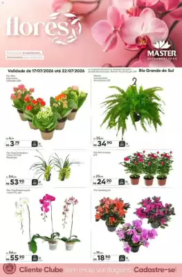 Master (válido até 22-07)