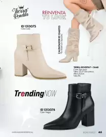Catálogo Price Shoes Página 65