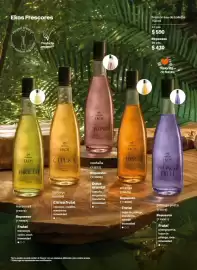 Catálogo Natura Página 39