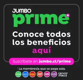 Catálogo Jumbo Página 17