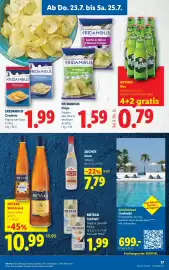 Lidl Flugblatt woche 30 Seite 19