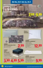 Lidl Flugblatt woche 30 Seite 22