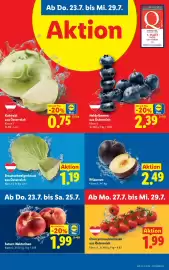 Lidl Flugblatt woche 30 Seite 42