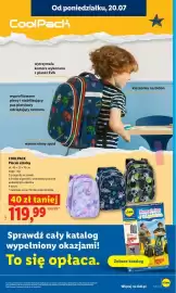 Lidl gazetka Strona 43