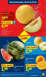 Lidl gazetka Strona 47