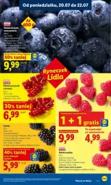 Lidl gazetka Strona 49