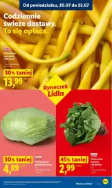 Lidl gazetka Strona 51