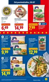 Lidl gazetka Strona 55
