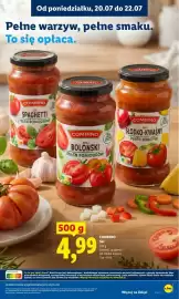 Lidl gazetka Strona 89