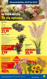 Lidl gazetka Strona 99
