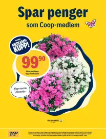 Coop Prix kundeavis uke 30 Side 13