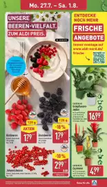 Aldi Nord Prospekt woche 31 Seite 3