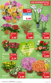 Kaufland DE folder week 30 Pagina 7