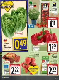 EDEKA Hahner Prospekt Seite 6