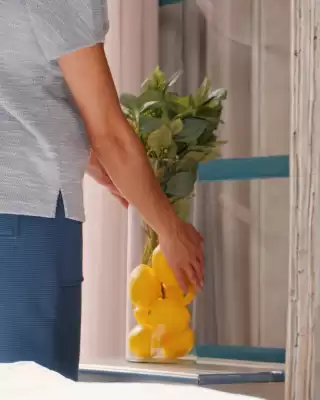 Scene (válido até 24-07)