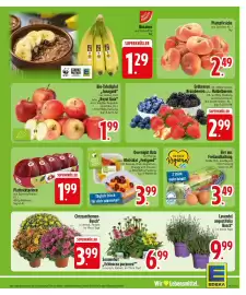 Edeka Prospekt woche 30 Seite 5