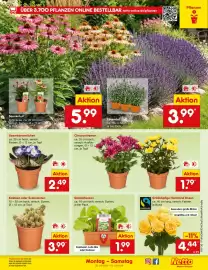 Netto Marken-Discount DE folder week 30 Pagina 50