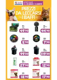 Volantino Ayoka Pagina 13