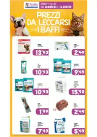 Volantino Ayoka Pagina 14