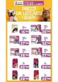 Volantino Ayoka Pagina 15
