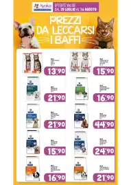 Volantino Ayoka Pagina 17