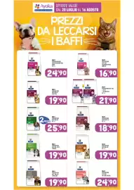 Volantino Ayoka Pagina 18