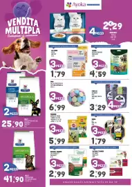 Volantino Ayoka Pagina 2