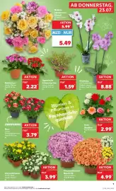 Kaufland Prospekt Seite 16