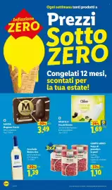 Volantino Lidl settimana 30 Pagina 10