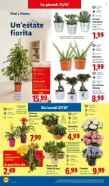 Volantino Lidl settimana 30 Pagina 34