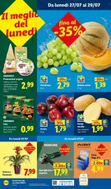 Volantino Lidl settimana 30 Pagina 55