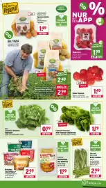 Wasgau Prospekt woche 30 Seite 7
