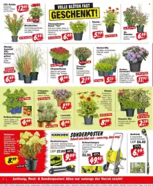 Repo Markt Prospekt woche 30 Seite 2
