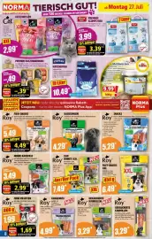 Norma Prospekt woche 31 Seite 8