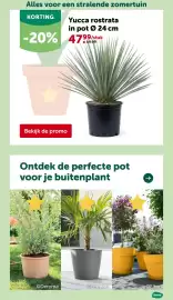 AVEVE folder Pagina 4