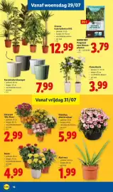 Lidl folder week 31 Pagina 16