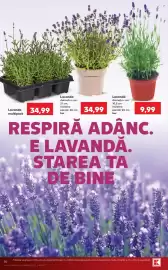 Catalog Kaufland săptămâna 30 Pagină 14