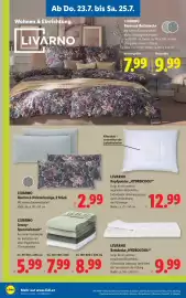Lidl Flugblatt woche 30 Seite 22