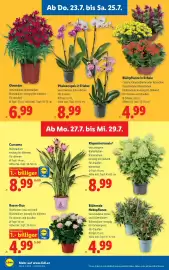 Lidl Flugblatt woche 30 Seite 30