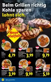 Lidl Flugblatt woche 30 Seite 49