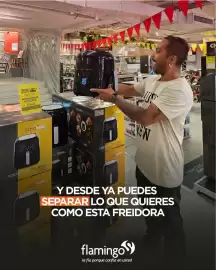 Catálogo Flamingo Página 2