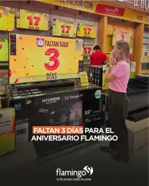 Catálogo Flamingo Página 3