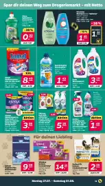 Netto Prospekt woche 31 Seite 13