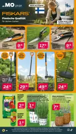 Netto Prospekt woche 31 Seite 16