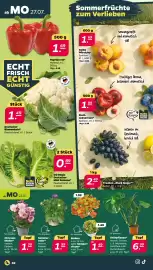 Netto Prospekt woche 31 Seite 2
